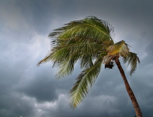 Forensic Type Technology Used to Detail True Damages by Hurricanes